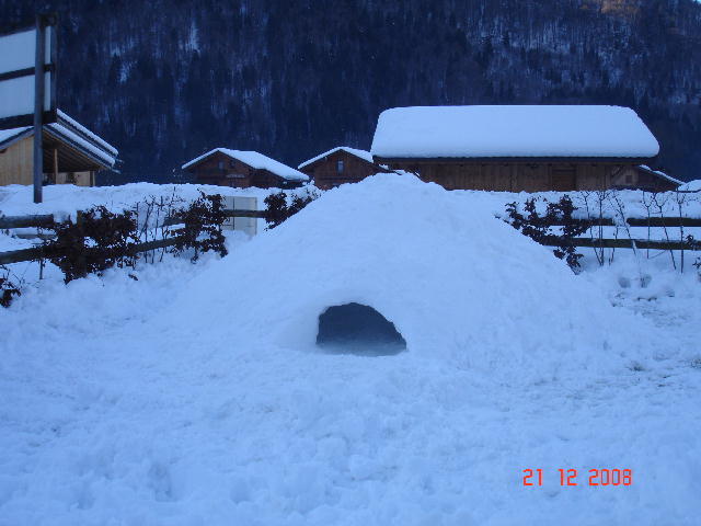 The Igloo