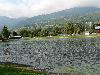 Lake in the leisure park.